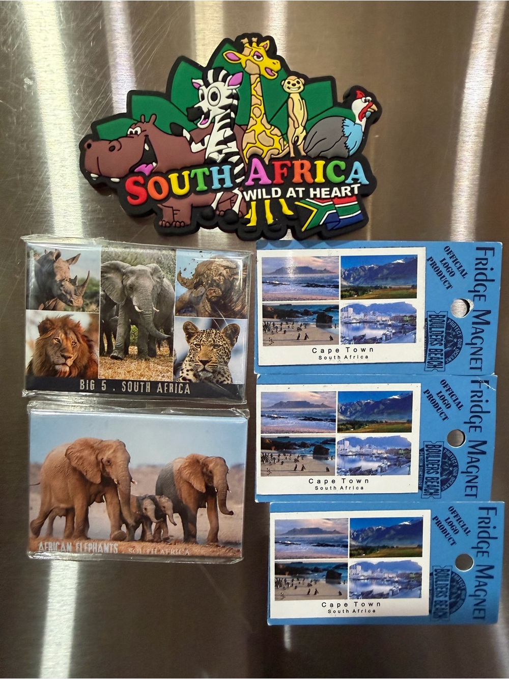6-piece lot of South African fridge magnets